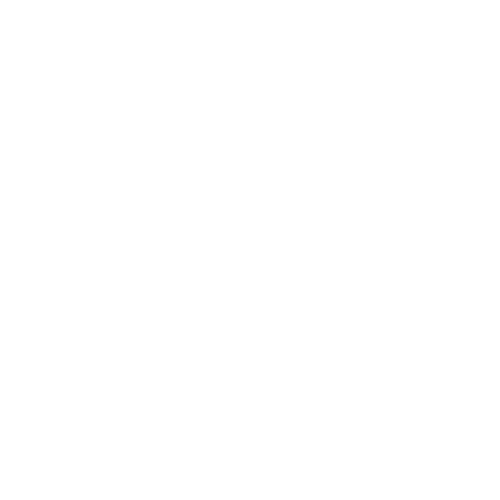 expertise-icon
