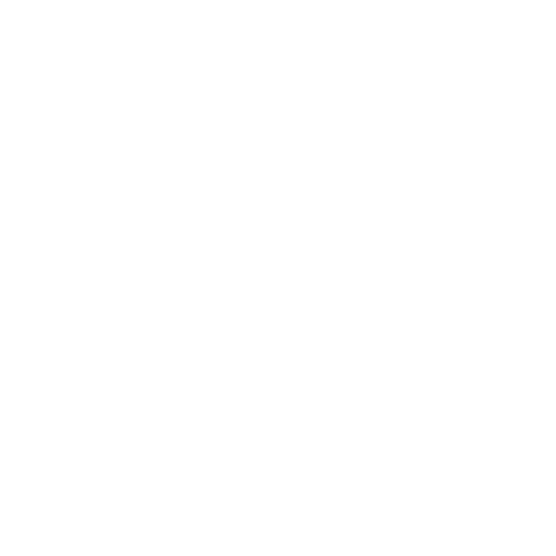 professional-icon